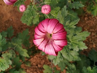 IMG_20181025_111431