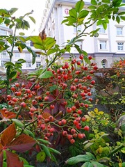 IMG_20181020_161834