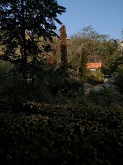 IMG_20181103_085735