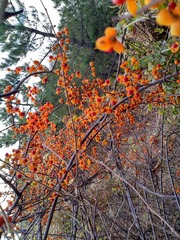 IMG_20181026_135034_HDR