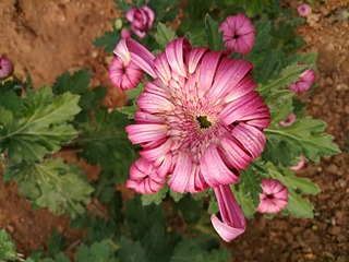 IMG_20181025_111427
