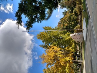 IMG_20181028_132211_HDR