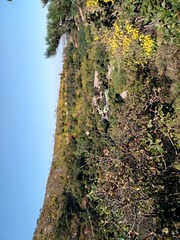 IMG_20181017_092149