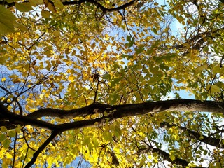 IMG_20181106_081407_HDR