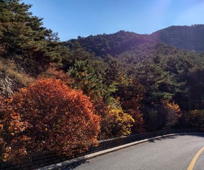 IMG_20181101_152254