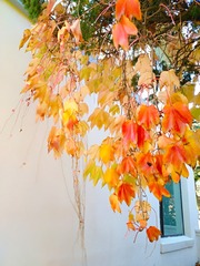 IMG_20181028_091404