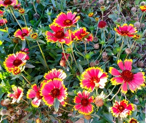 IMG_20181017_181259