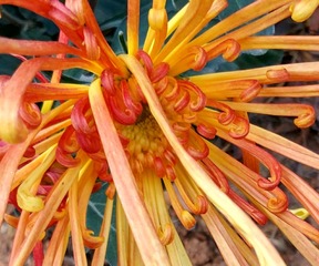 IMG_20181103_114909