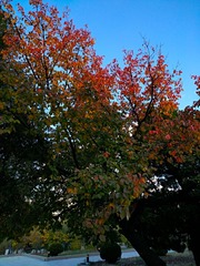 IMG_20181027_071608