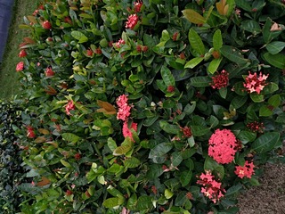 IMG_20181024_073623