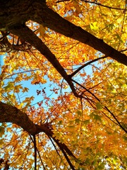 IMG_20181028_140806