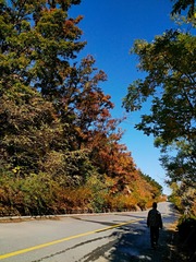 IMG_20181101_152611
