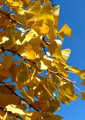 IMG_20181027_195902