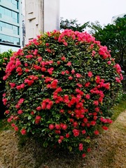 IMG_20181026_083328