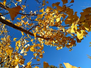 IMG_20181027_144332_HDR
