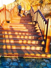 IMG_20181029_092831