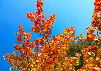 IMG_20181028_111737