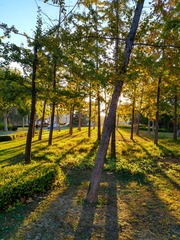 IMG_20181012_184324