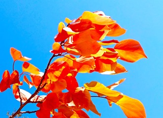 IMG_20181028_105618