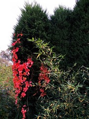 IMG_20181020_162024