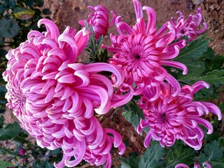 IMG_20181102_142931_HDR