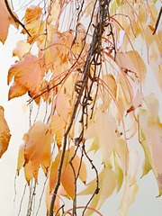 IMG_20181028_091501