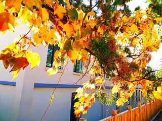 IMG_20181028_091147