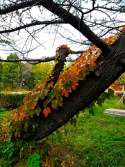 IMG_20181020_162740