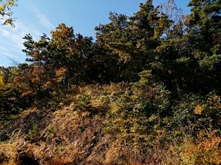 IMG_20181101_153026