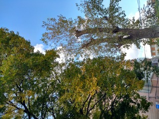 IMG_20181026_151235_HDR