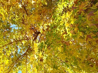 IMG_20181031_092850