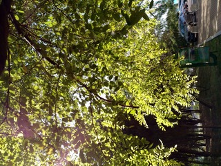 IMG_20181018_123850_HDR