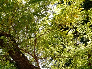 IMG_20181018_123813_HDR