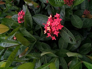 IMG_20181024_073523