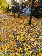 IMG_20181103_175654