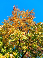 IMG_20181028_105702