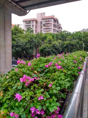 IMG_20181025_080125
