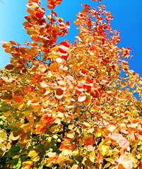 IMG_20181028_105758