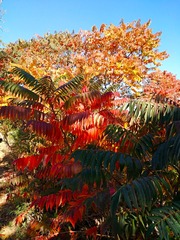 IMG_20181017_103514