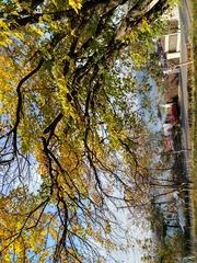 IMG_20181106_081536_HDR