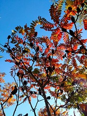 IMG_20181017_103553