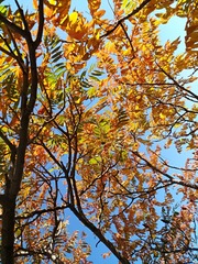 IMG_20181017_090839