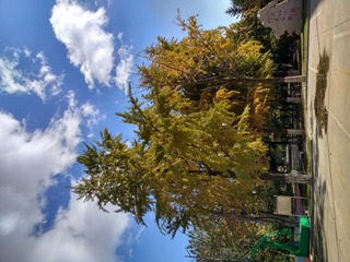 IMG_20181028_132304_HDR