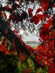 IMG_20181025_163730