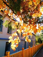 IMG_20181028_091036