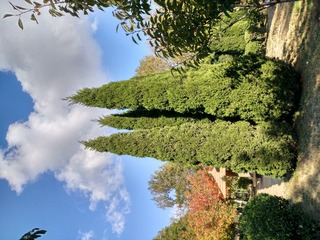 IMG_20181030_135933_HDR