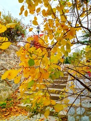 IMG_20181016_135615