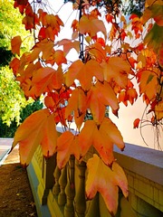IMG_20181028_091612