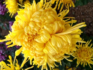IMG_20181102_143336_HDR