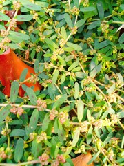 IMG_20181014_130900
